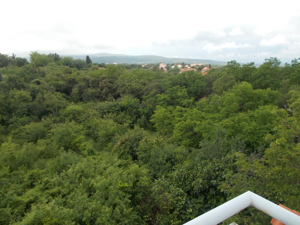 Apartments Sara Labin  Rom bilde